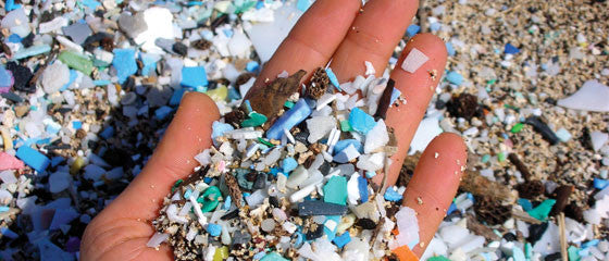 How plastic beads are causing big problems